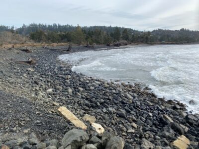 a rocky shore with a body of water and trees in the background (MyCoast AI)