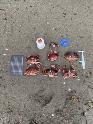 a group of objects on the ground (MyCoast AI)