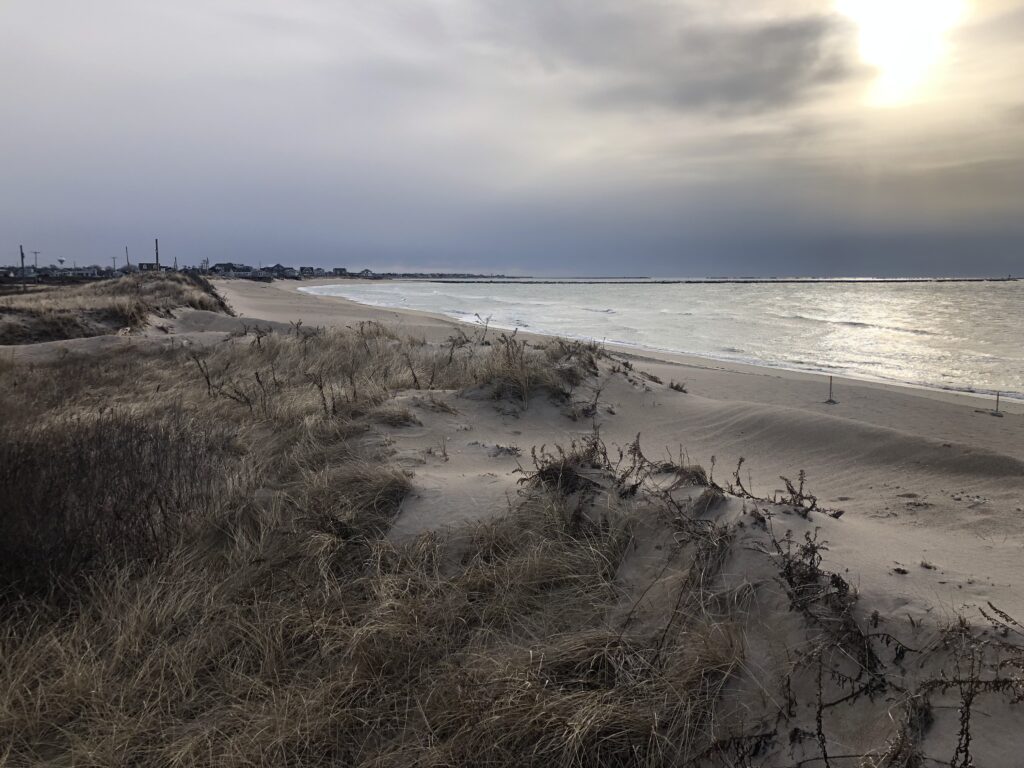 a beach with sand and water (MyCoast AI)