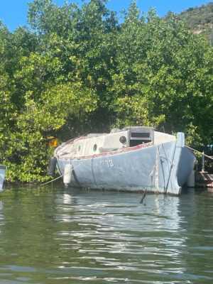 a boat tied to a dock (MyCoast AI)
