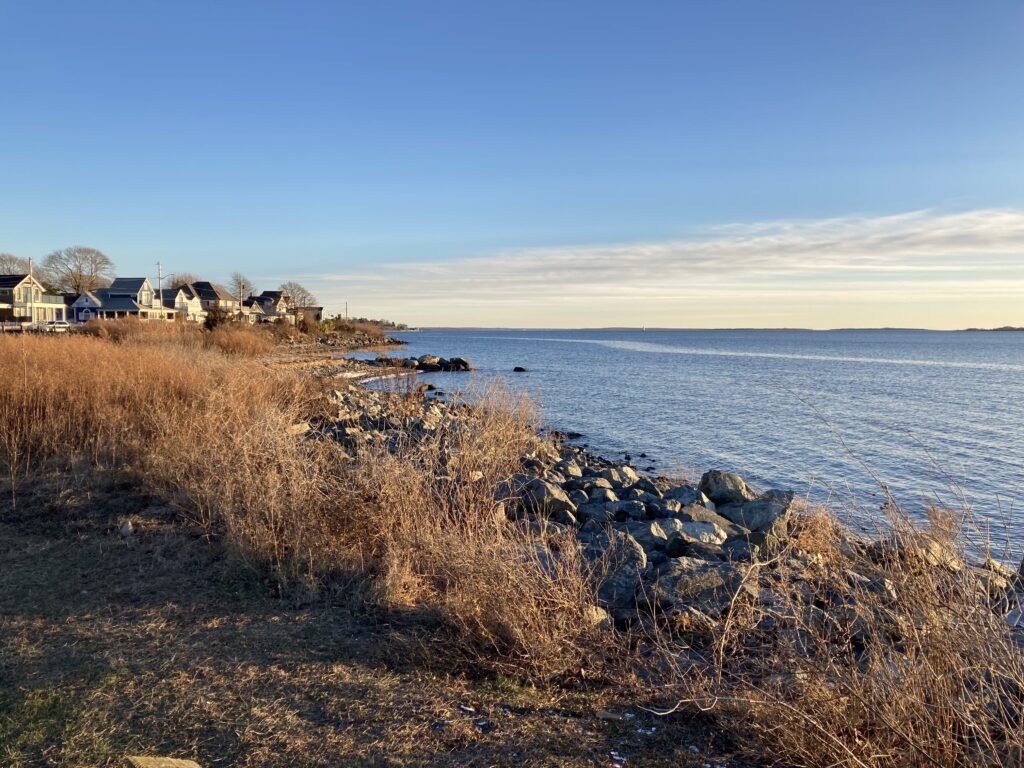 a rocky beach with houses and water (MyCoast AI)
