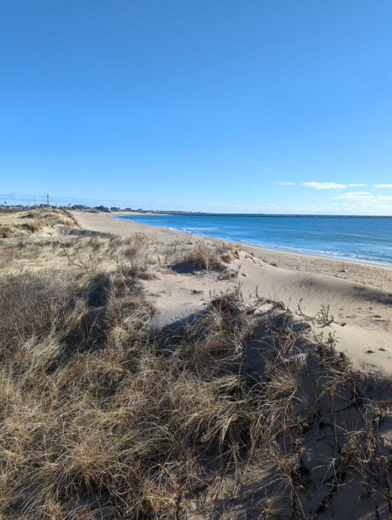 a sandy beach with water in the background (MyCoast AI)