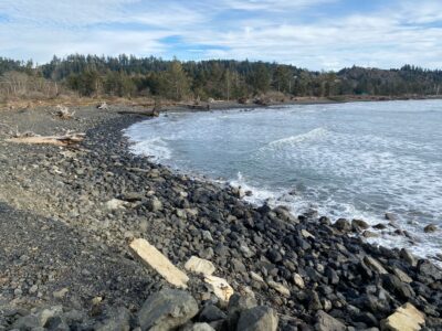 a rocky shore with a body of water and trees in the background (MyCoast AI)