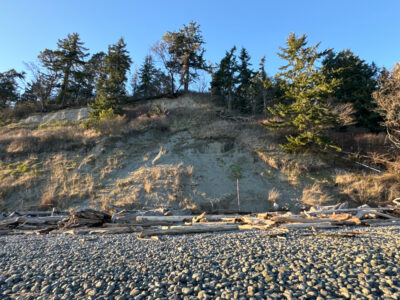 a rocky hillside with trees (MyCoast AI)