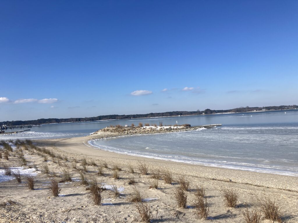 a beach with sand and water (MyCoast AI)