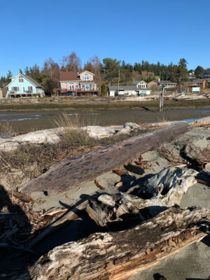 a rocky beach with houses in the background (MyCoast AI)