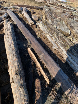 a group of logs (MyCoast AI)