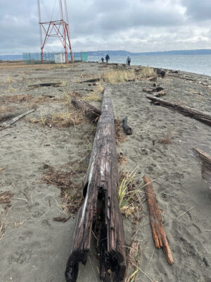 a wooden fence on a beach (MyCoast AI)