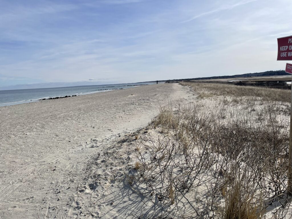 a beach with snow (MyCoast AI)
