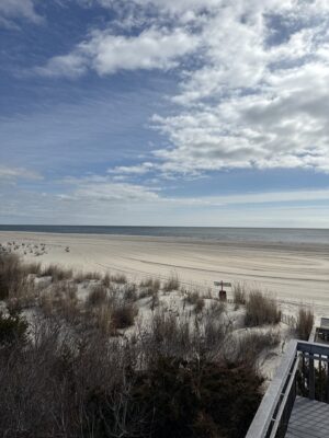 a sandy beach with bushes and trees (MyCoast AI)