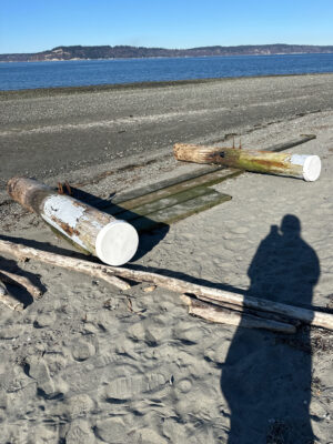 a group of wooden logs on a beach (MyCoast AI)
