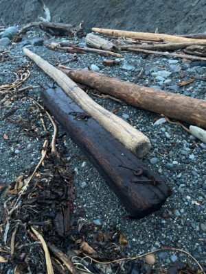 a wooden bench on a rocky beach (MyCoast AI)