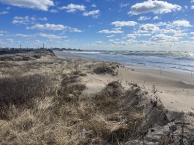a sandy beach with grass and water (MyCoast AI)