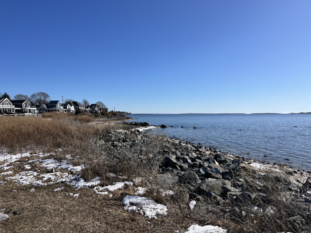 a rocky beach with houses and water (MyCoast AI)