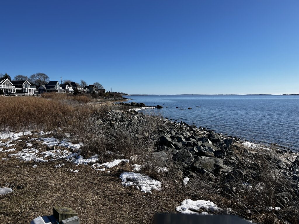 a rocky beach with houses and water (MyCoast AI)
