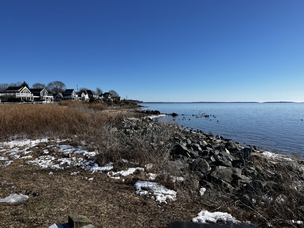 a rocky beach with houses and water (MyCoast AI)