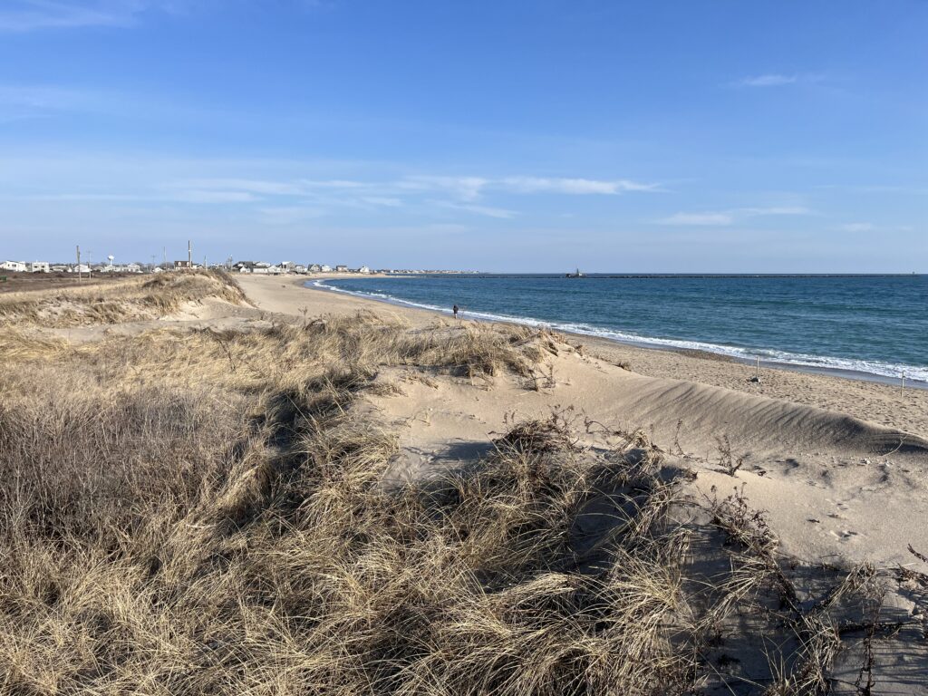 a sandy beach with grass and water (MyCoast AI)