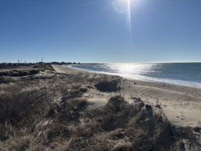 a sandy beach with a body of water in the background (MyCoast AI)