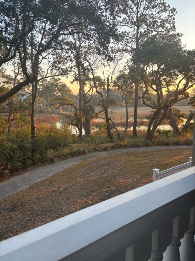 a road with trees on the side (MyCoast AI)