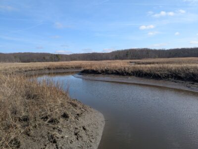 a river with grass and trees (MyCoast AI)