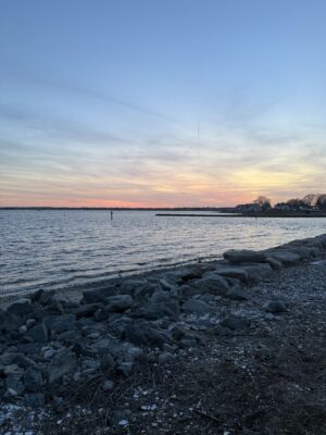 a rocky beach with a body of water in the background (MyCoast AI)