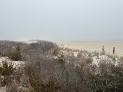 people walking in a field (MyCoast AI)
