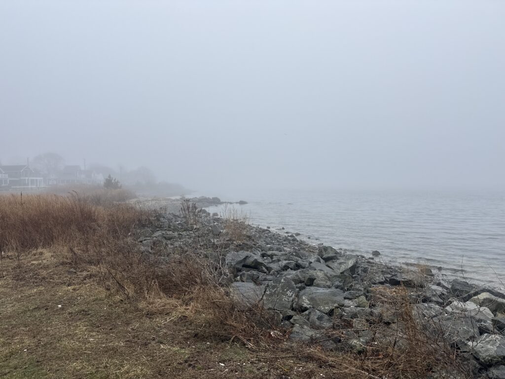 a rocky beach with grass and water (MyCoast AI)