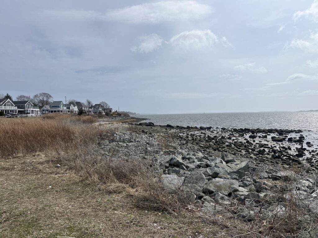 a rocky beach with houses in the background (MyCoast AI)