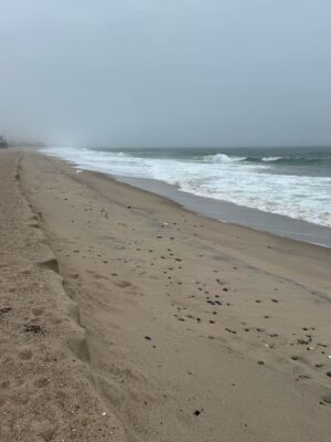 a sandy beach with waves crashing (MyCoast AI)