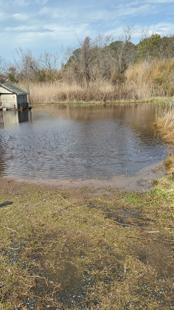 a body of water with grass and trees around it (MyCoast AI)