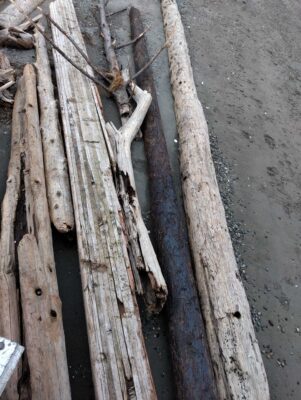 a group of sticks on a wooden surface (MyCoast AI)