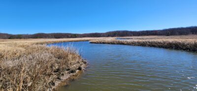 a river with grass and trees (MyCoast AI)