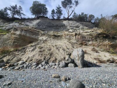a rocky hillside with trees (MyCoast AI)