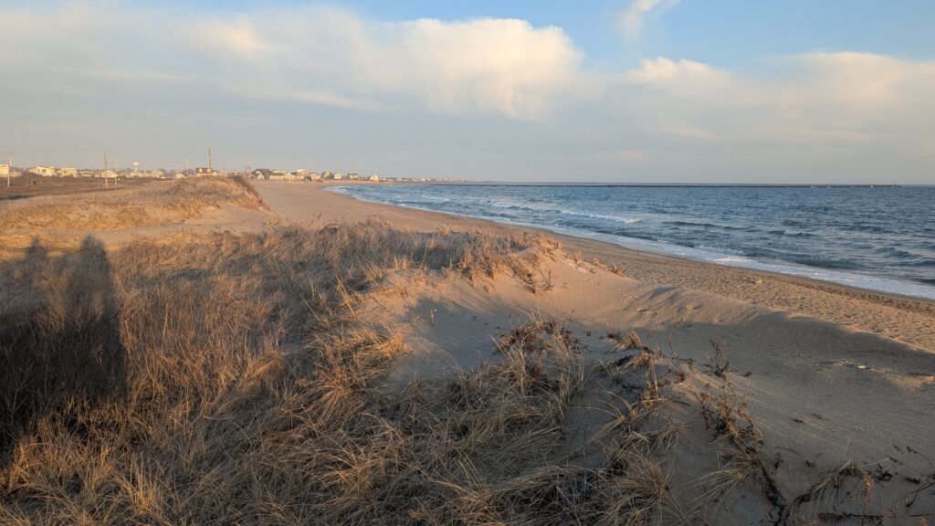 a beach with tall grass and water (MyCoast AI)