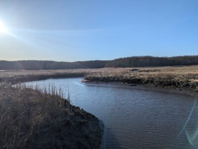 a river with grass and trees (MyCoast AI)