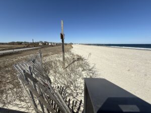 a beach with a fence and a tree with Mont Ventoux in the background (MyCoast AI)