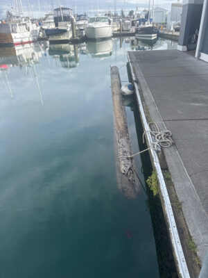 a dock with boats in it (MyCoast AI)