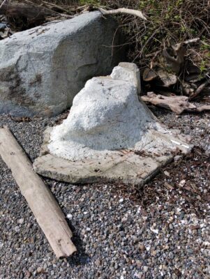 a rock on the ground (MyCoast AI)