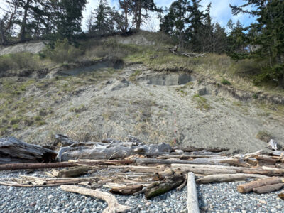 a rocky area with trees in the background (MyCoast AI)