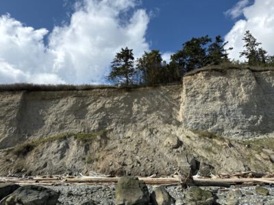 a rocky cliff with trees on it (MyCoast AI)