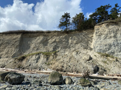 a rocky cliff side (MyCoast AI)