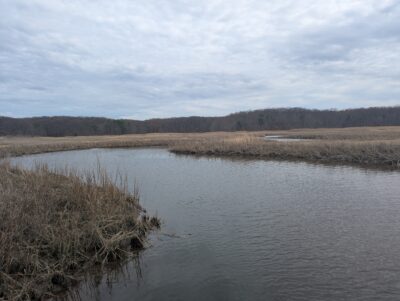 a body of water with grass and trees around it (MyCoast AI)