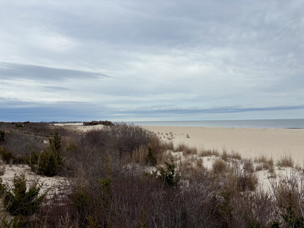 a sandy beach with bushes and grass (MyCoast AI)