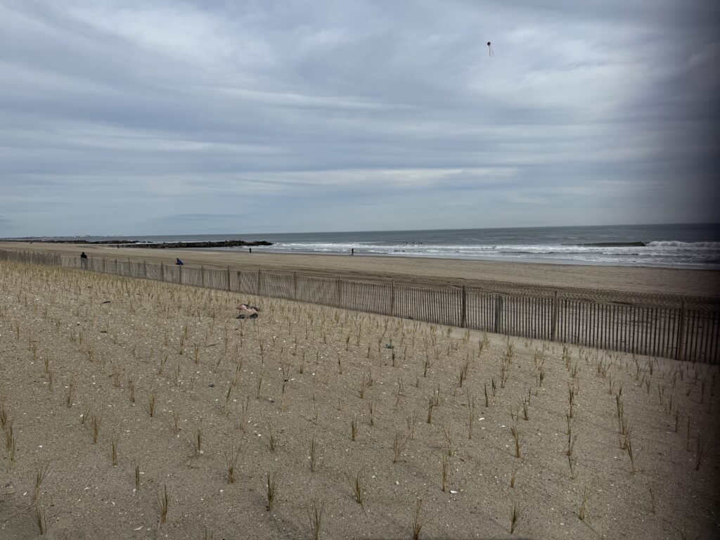 a beach with a fence and a body of water in the background (MyCoast AI)