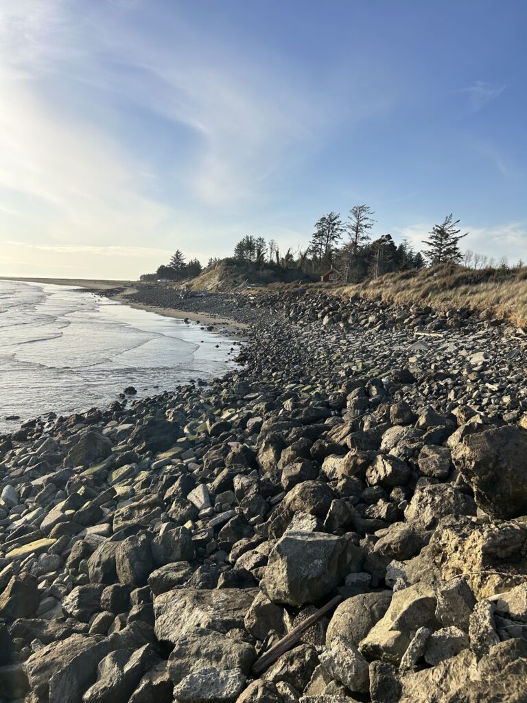 a rocky beach with trees and water (MyCoast AI)