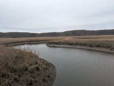 a river with grass and trees (MyCoast AI)