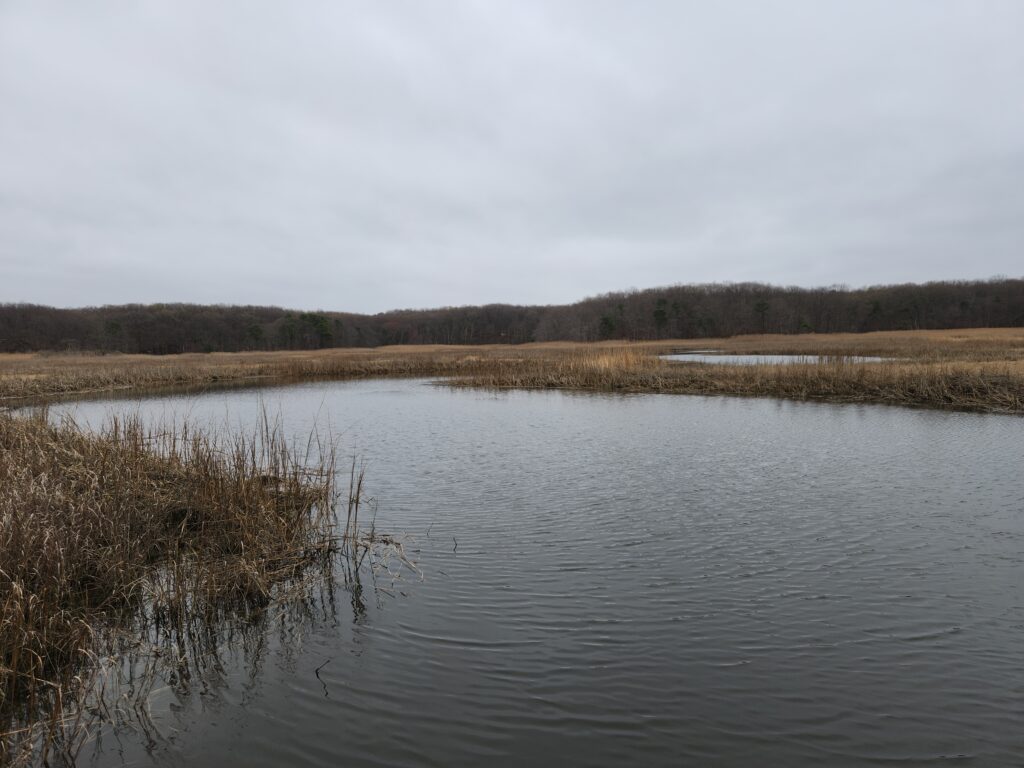 a body of water with grass and trees around it (MyCoast AI)