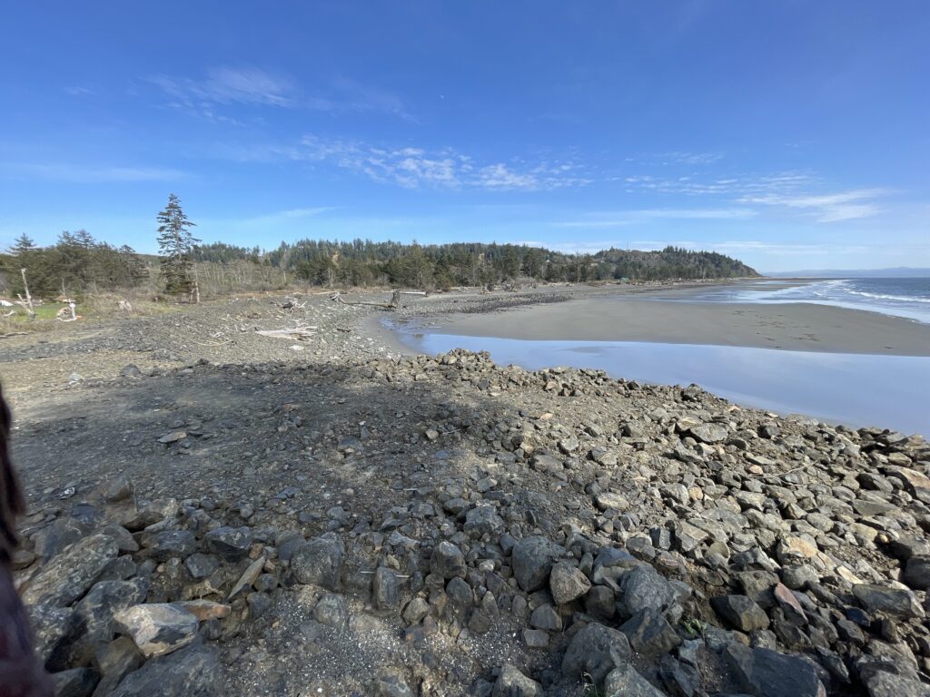 a rocky beach with trees in the background (MyCoast AI)