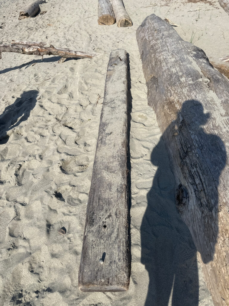 a group of people's shadows on a sandy surface (MyCoast AI)
