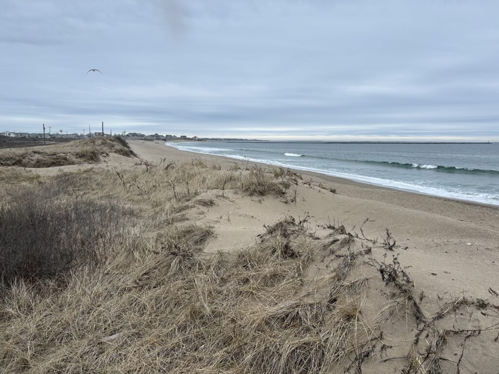 a sandy beach with waves crashing (MyCoast AI)